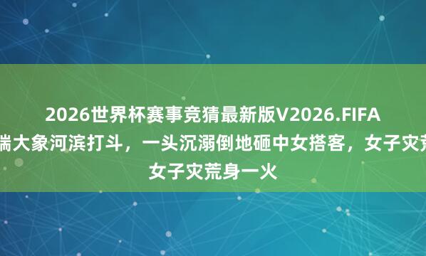 2026世界杯赛事竞猜最新版V2026.FIFA 印度两端大象河滨打斗,一头沉溺倒地砸中女搭客,女子灾荒身一火