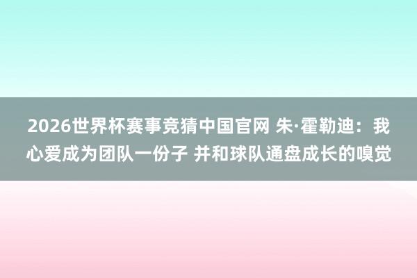2026世界杯赛事竞猜中国官网 朱·霍勒迪:我心爱成为团队一份子 并和球队通盘成长的嗅觉