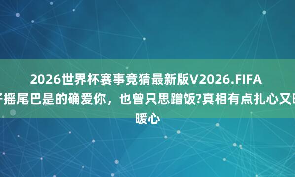 2026世界杯赛事竞猜最新版V2026.FIFA 狗子摇尾巴是的确爱你,也曾只思蹭饭?真相有点扎心又暖心