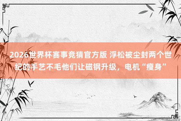 2026世界杯赛事竞猜官方版 浮松被尘封两个世纪的手艺不毛他们让磁钢升级,电机“瘦身”