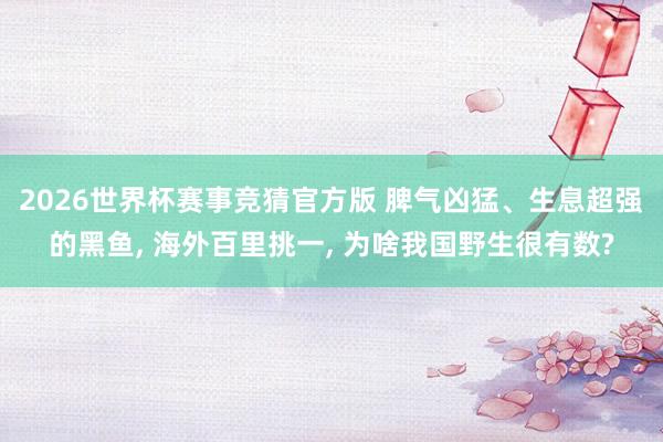 2026世界杯赛事竞猜官方版 脾气凶猛、生息超强的黑鱼, 海外百里挑一, 为啥我国野生很有数?